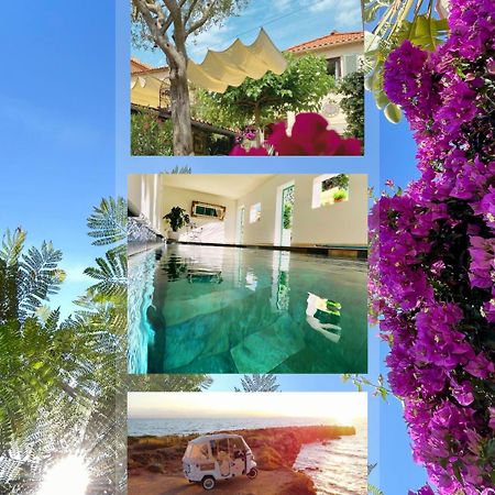Hotel La Jabotte Antibes Exteriér fotografie