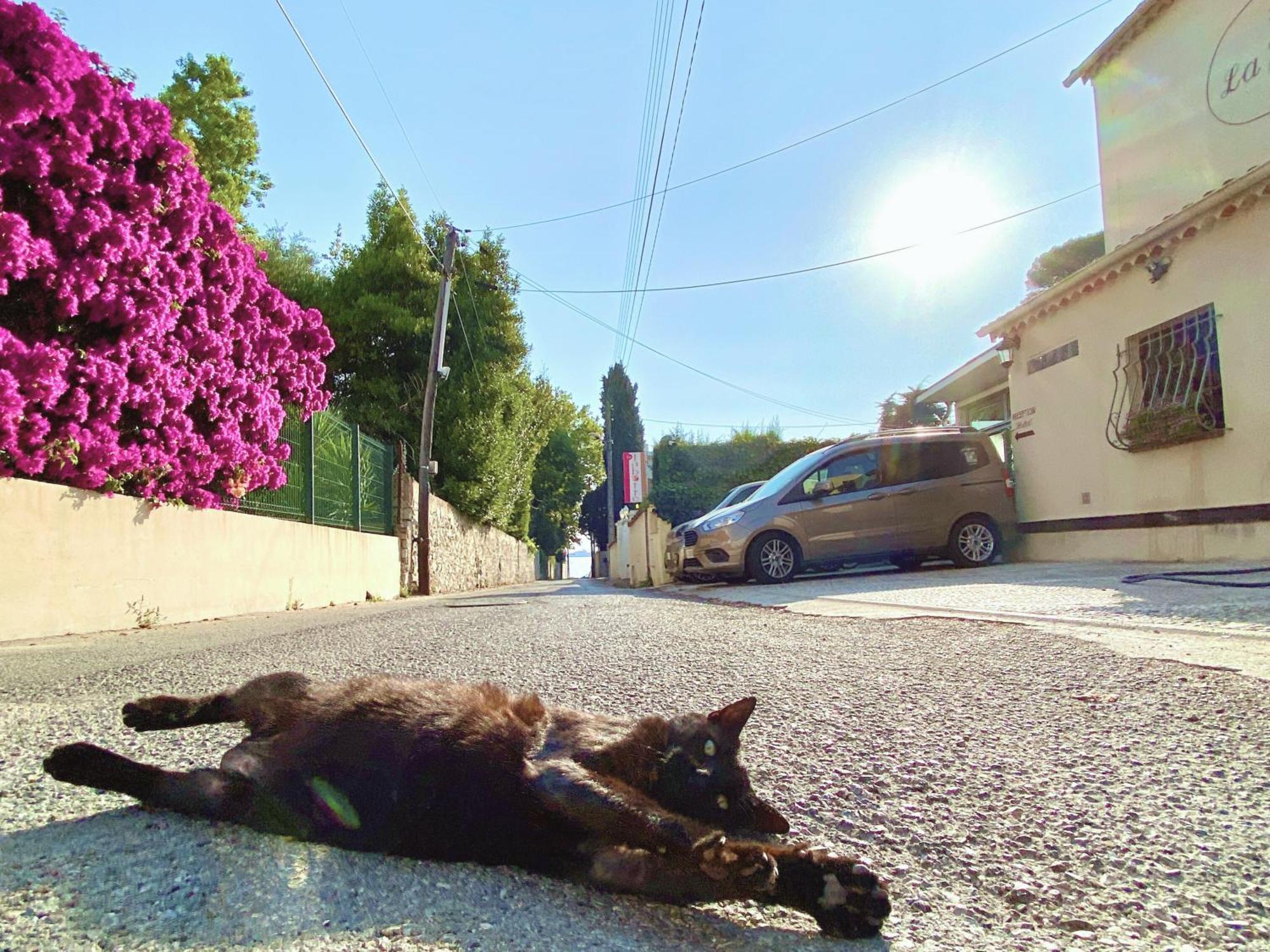Hotel La Jabotte Antibes Exteriér fotografie